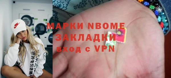 индика Алзамай