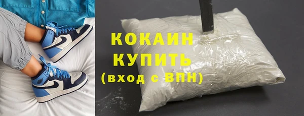 индика Алзамай