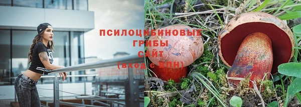 индика Алзамай