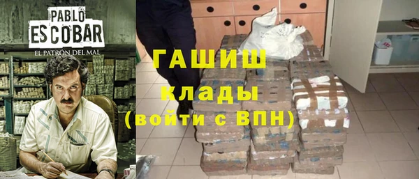 индика Алзамай