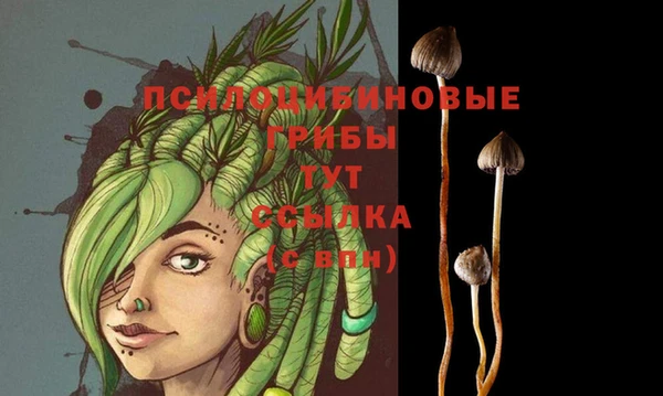 индика Алзамай