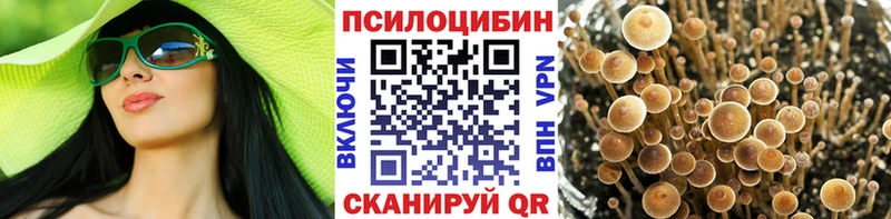 Галлюциногенные грибы Psilocybine cubensis Новошахтинск